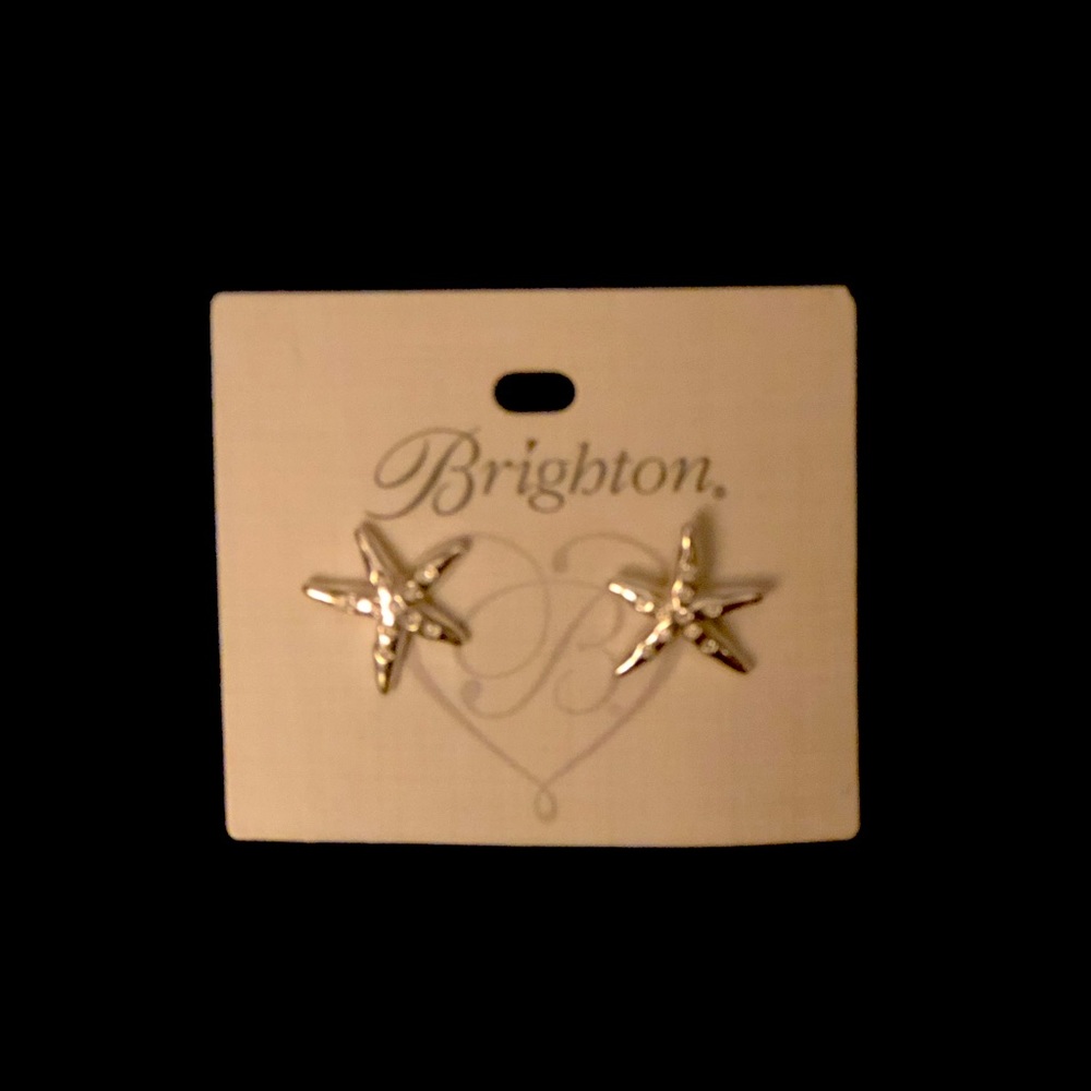 Silver sea star pierced earrings